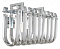 Накладной светильник Arte Lamp Mayotte A1071AP-2CC